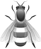 Wojewódzki Związek Pszczelarzy w Warszawie zrzesza wiele Kół Terenowych. Pszczelarze mogą liczyć na pomoc w wielu aspektach działania...